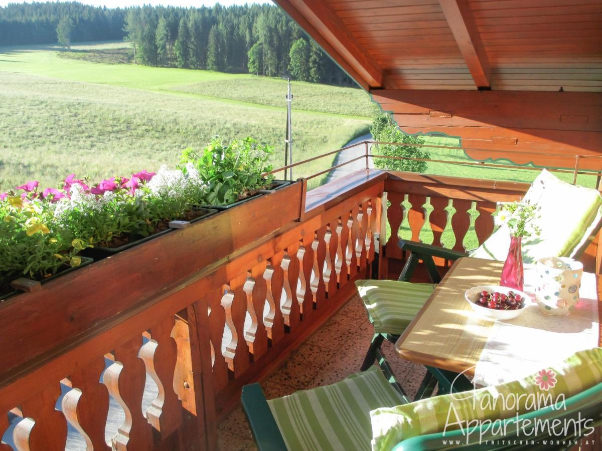 Panorama Appartement Ramsau am Dachstein Exterior foto